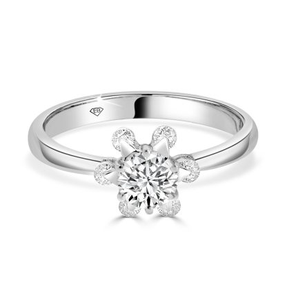Round brilliant diamond ring with halo diamonds